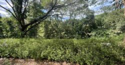640sqm Fairway Lot, Phase2 in Eastland Heights, Antipolo City 640sqm Fairway Lot, Phase2 in Eastland Heights, Antipolo City