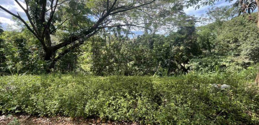 640sqm Fairway Lot, Phase2 in Eastland Heights, Antipolo City 640sqm Fairway Lot, Phase2 in Eastland Heights, Antipolo City