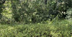 640sqm Fairway Lot, Phase2 in Eastland Heights, Antipolo City 640sqm Fairway Lot, Phase2 in Eastland Heights, Antipolo City