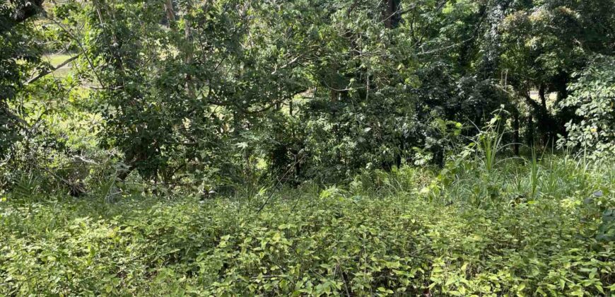 640sqm Fairway Lot, Phase2 in Eastland Heights, Antipolo City 640sqm Fairway Lot, Phase2 in Eastland Heights, Antipolo City
