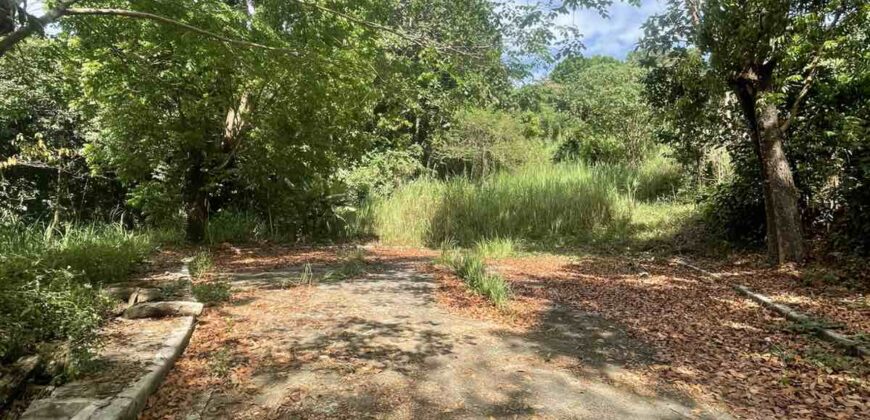 640sqm Fairway Lot, Phase2 in Eastland Heights, Antipolo City 640sqm Fairway Lot, Phase2 in Eastland Heights, Antipolo City