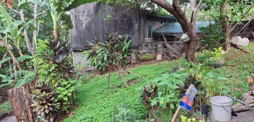1,270 SQM Lot with Classic House Along Hibiscus Street, Beverly Hills Subdivision, Barangay Dolores, Taytay, Rizal