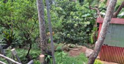 1,270 SQM Lot with Classic House Along Hibiscus Street, Beverly Hills Subdivision, Barangay Dolores, Taytay, Rizal
