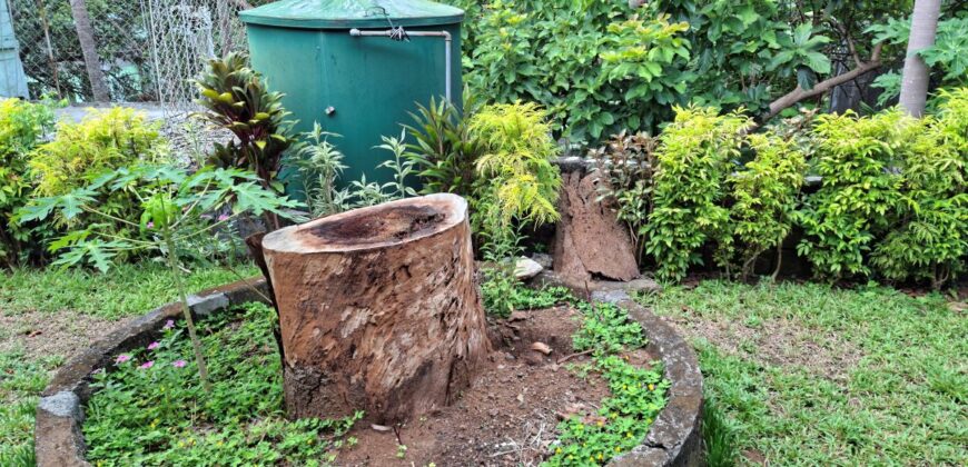 1,270 SQM Lot with Classic House Along Hibiscus Street, Beverly Hills Subdivision, Barangay Dolores, Taytay, Rizal