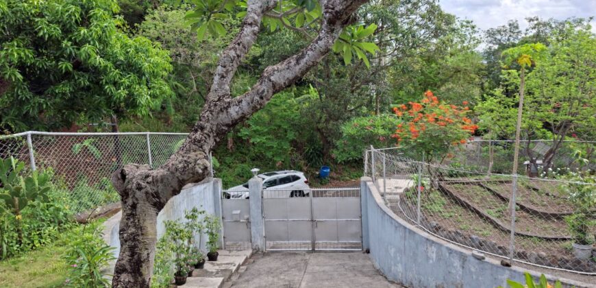 1,270 SQM Lot with Classic House Along Hibiscus Street, Beverly Hills Subdivision, Barangay Dolores, Taytay, Rizal
