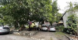 282.80 sqm Lot in New Intramuros Village, Brgy. Matandang Balara, Quezon City