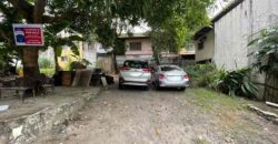 282.80 sqm Lot in New Intramuros Village, Brgy. Matandang Balara, Quezon City