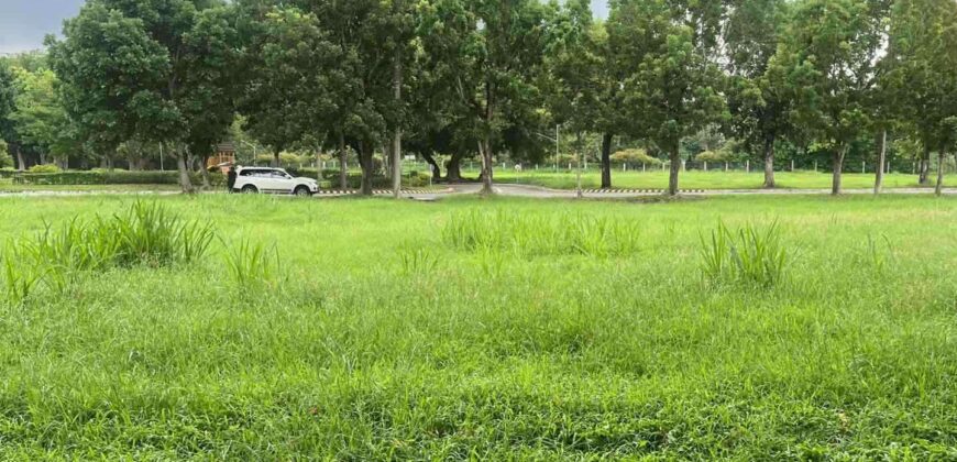 1,109 sqm Fairway Lot in Manila Southwoods, Carmona, Cavite