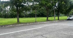 1,109 sqm Fairway Lot in Manila Southwoods, Carmona, Cavite