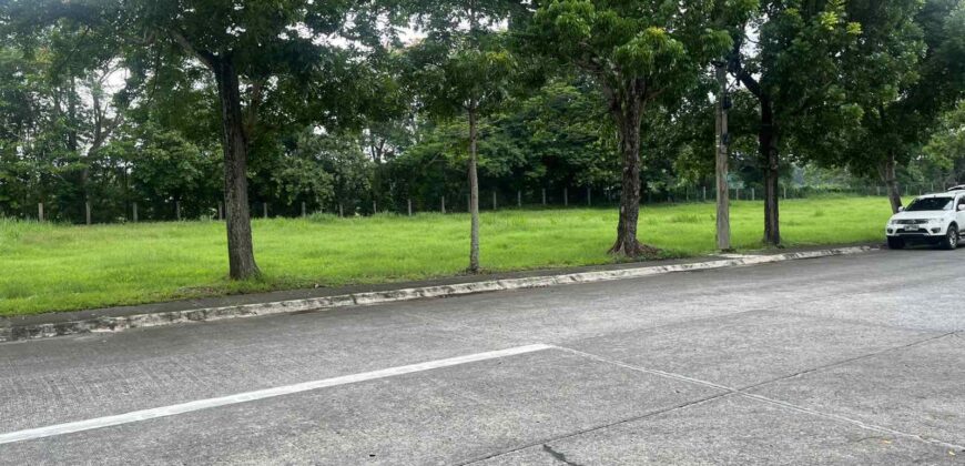 1,109 sqm Fairway Lot in Manila Southwoods, Carmona, Cavite