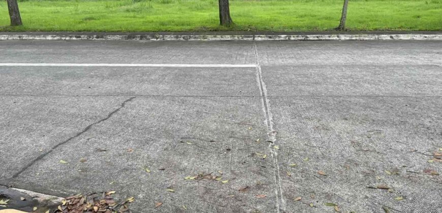 1,109 sqm Fairway Lot in Manila Southwoods, Carmona, Cavite