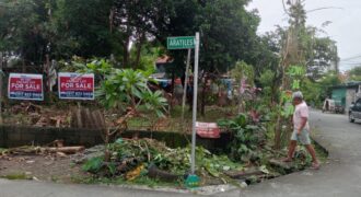 347 SQM Vacant Lot in Sr. De Burgos Subdivision, Province of Rodriguez, Rizal