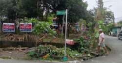 347 SQM Vacant Lot in Sr. De Burgos Subdivision, Province of Rodriguez, Rizal
