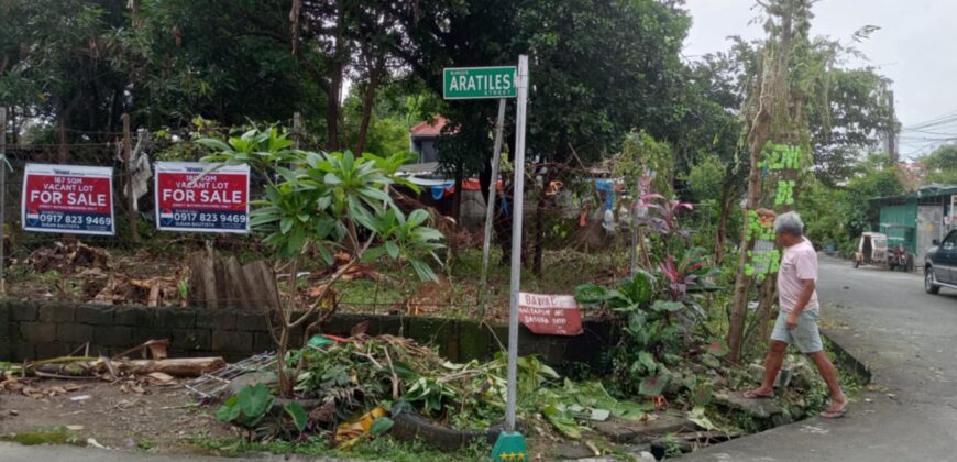 347 SQM Vacant Lot in Sr. De Burgos Subdivision, Province of Rodriguez, Rizal