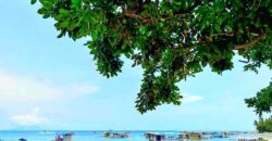 6BR Private Resort in Lian, Batangas  Php 66M Gross | 📍 1 MIN walk to the beach!
