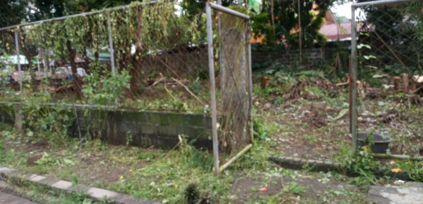 347 SQM Vacant Lot in Sr. De Burgos Subdivision, Province of Rodriguez, Rizal