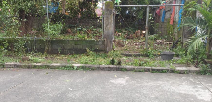 347 SQM Vacant Lot in Sr. De Burgos Subdivision, Province of Rodriguez, Rizal