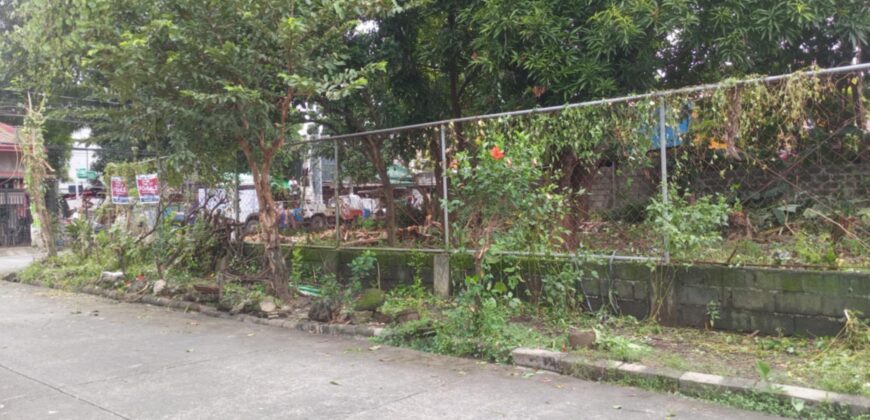 347 SQM Vacant Lot in Sr. De Burgos Subdivision, Province of Rodriguez, Rizal