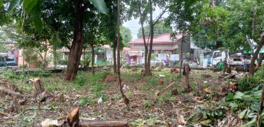 347 SQM Vacant Lot in Sr. De Burgos Subdivision, Province of Rodriguez, Rizal