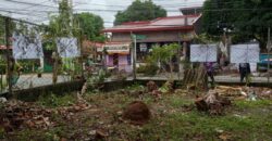 347 SQM Vacant Lot in Sr. De Burgos Subdivision, Province of Rodriguez, Rizal