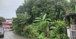 347 SQM Vacant Lot in Sr. De Burgos Subdivision, Province of Rodriguez, Rizal