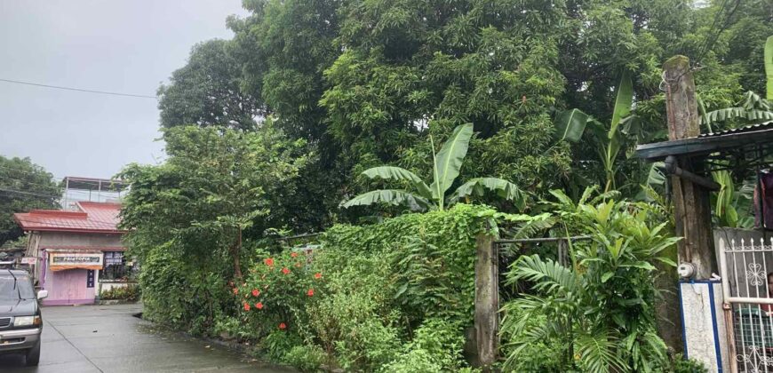 347 SQM Vacant Lot in Sr. De Burgos Subdivision, Province of Rodriguez, Rizal