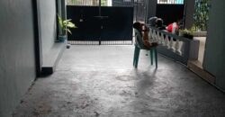 4BR House and Lot in Moonwalk Village, Las Piñas