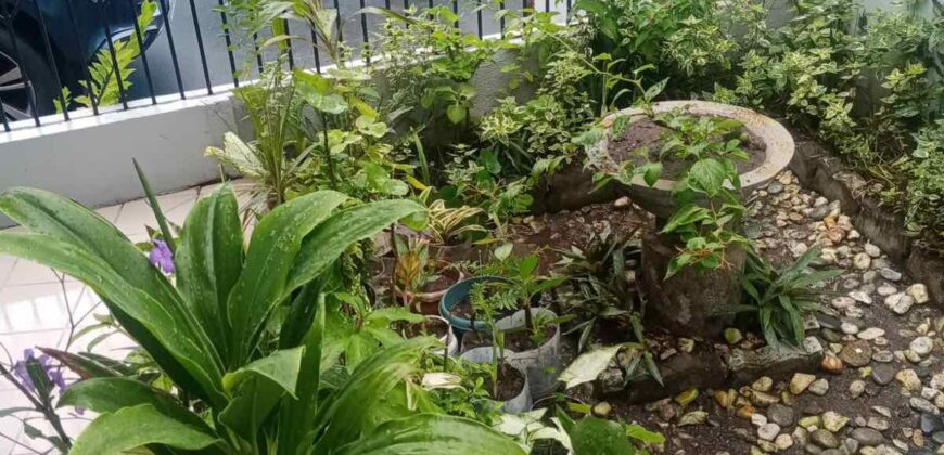 4BR House and Lot in Moonwalk Village, Las Piñas