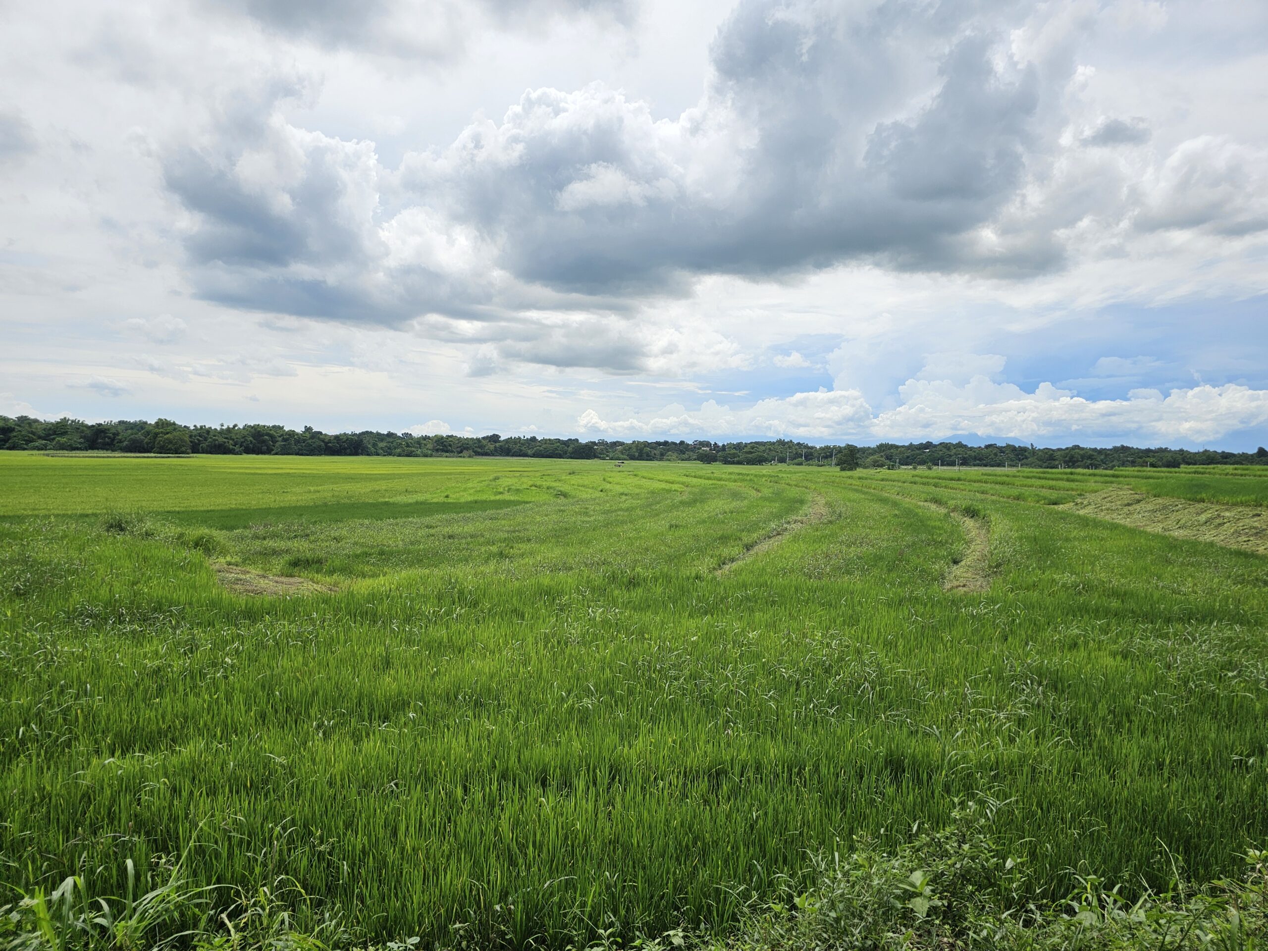 2.6 Ha. Agricultural Land in San Ildefonso, Bulacan