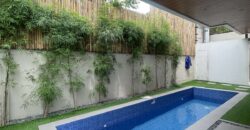 Brand New 5BR Single Detached 2-Storey House and Lot with Pool in BF Triple T, BF Homes, Las Piñas City