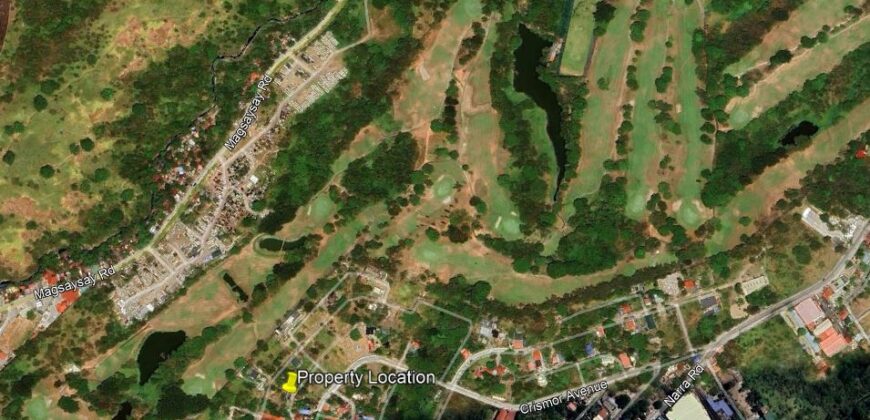 189 sqm Vacant Lot, Holiday Park Subdivision, San Pedro City, Laguna