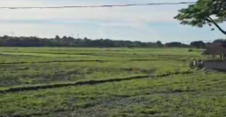 2.6 Ha. Agricultural Land in San Ildefonso, Bulacan