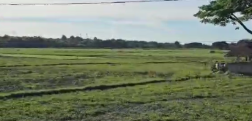 2.6 Ha. Agricultural Land in San Ildefonso, Bulacan