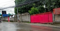 801 SQM Vacant Lot in Deparo, Caloocan City