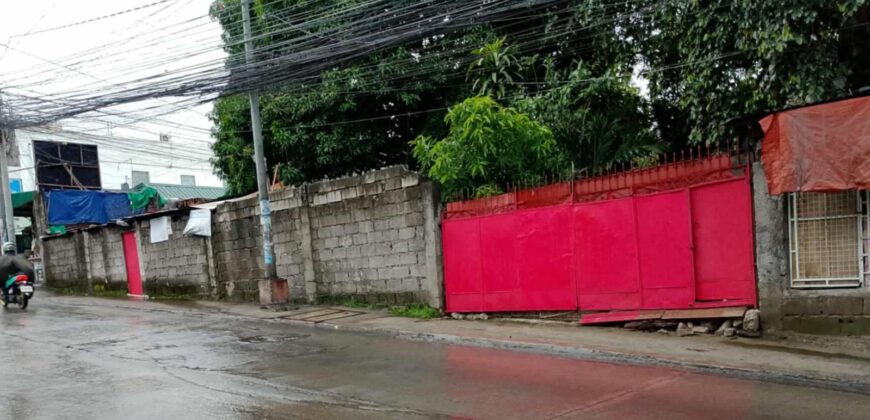 801 SQM Vacant Lot in Deparo, Caloocan City