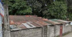 801 SQM Vacant Lot in Deparo, Caloocan City