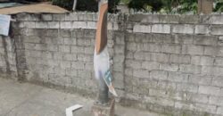 801 SQM Vacant Lot in Deparo, Caloocan City