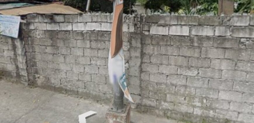 801 SQM Vacant Lot in Deparo, Caloocan City