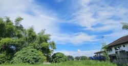 951 SQM Residential Lot in Loyola Grand Villas, Marikina City