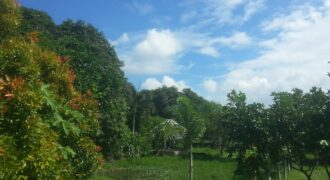 6,725 SQM Agricultural Lot in Guiguinto, Bulacan 6,725 SQM Agricultural Lot in Guiguinto, Bulacan