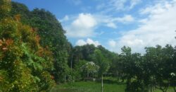 6,725 SQM Agricultural Lot in Guiguinto, Bulacan