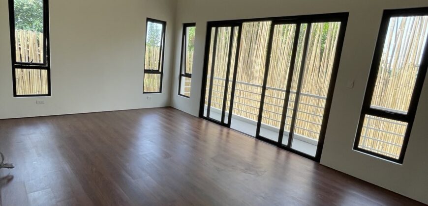 5BR House and Lot in Paris St. BFISHAI, BF Homes, Las Piñas City 5BR House and Lot in Paris St. BFISHAI, BF Homes, Las Piñas City
