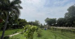 6,725 SQM Agricultural Lot in Guiguinto, Bulacan