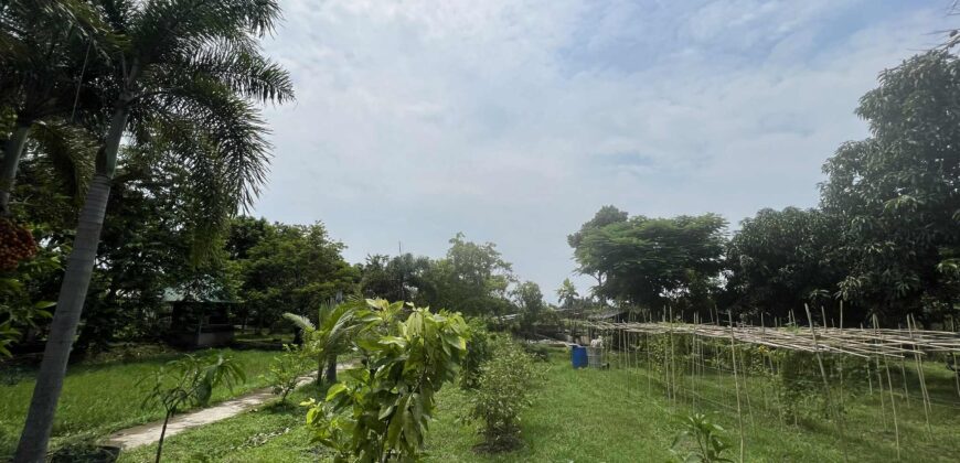 6,725 SQM Agricultural Lot in Guiguinto, Bulacan