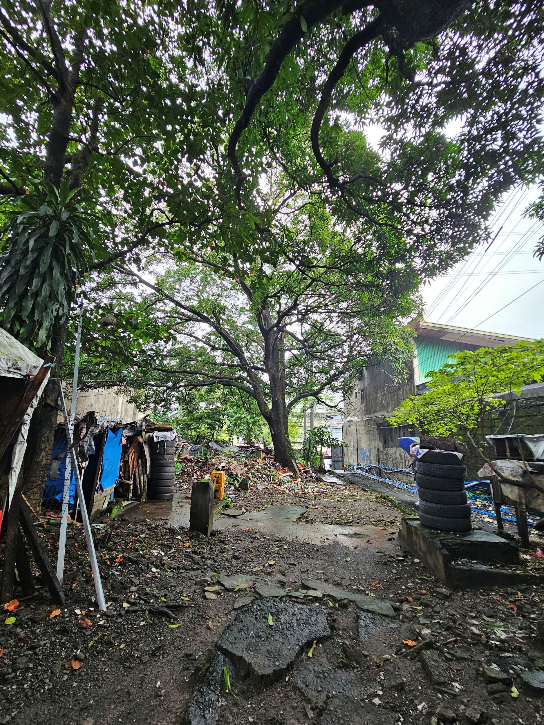 898sqm Vacant Lot in Commonwealth, Quezon City 898sqm Vacant Lot in Commonwealth, Quezon City