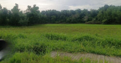 17, 867 SQM Agricultural Lot in Sigma, Capiz