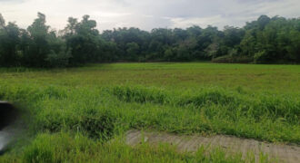 17, 867 SQM Agricultural Lot in Sigma, Capiz 17, 867 SQM Agricultural Lot in Sigma, Capiz