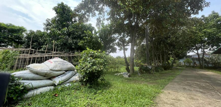 6,725 SQM Agricultural Lot in Guiguinto, Bulacan