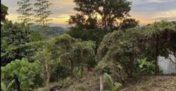 824sqm Vacant Lot in Mandala 2, Timberland Heights, San Mateo, Rizal 824sqm Vacant Lot in Mandala 2, Timberland Heights, San Mateo, Rizal