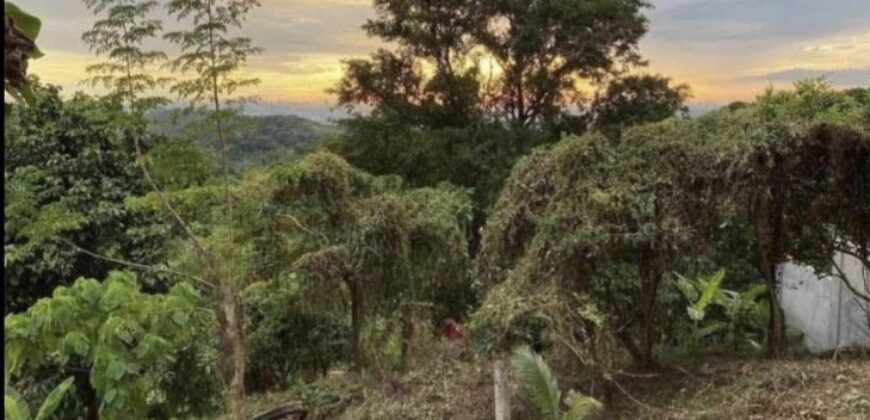 824sqm Vacant Lot in Mandala 2, Timberland Heights, San Mateo, Rizal 824sqm Vacant Lot in Mandala 2, Timberland Heights, San Mateo, Rizal